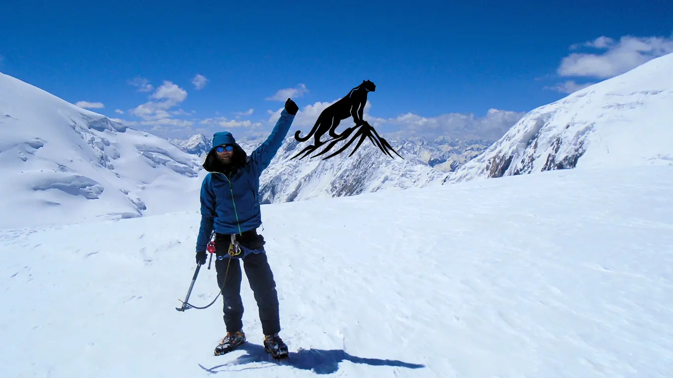 About Fat Cat Travel